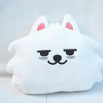 TXT Merch PPULBATU Yeonjun Soobin