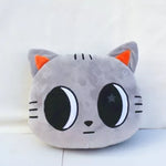 TXT PPULBATU Face Pillow Kpop Merch TAEHYUN